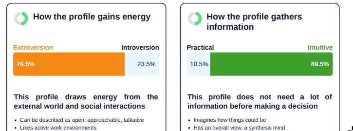 Example of 4D cognitive preferences
